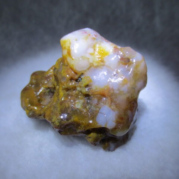 multi color gobi flower agate raw stone natural botryoidal desert agate specimen (k105)