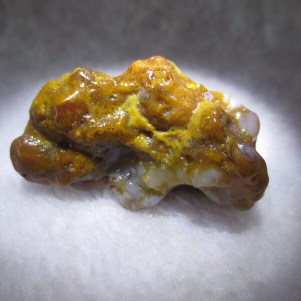 multi color gobi flower agate raw stone natural botryoidal desert agate specimen (k105)