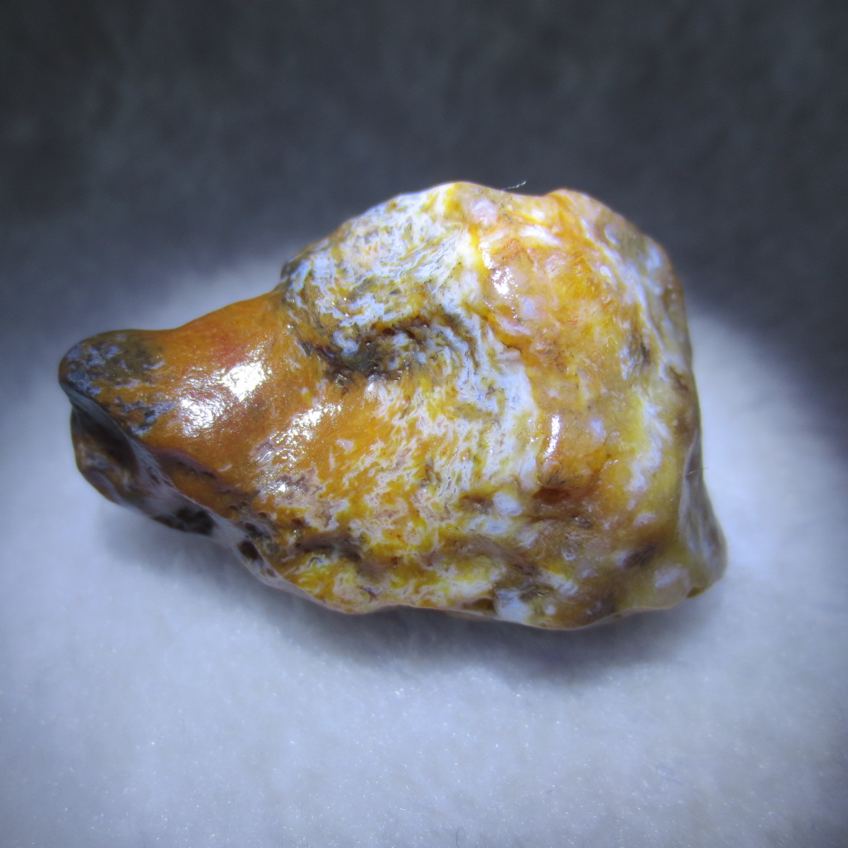 multi color gobi flower agate raw stone natural botryoidal desert agate specimen (k104)