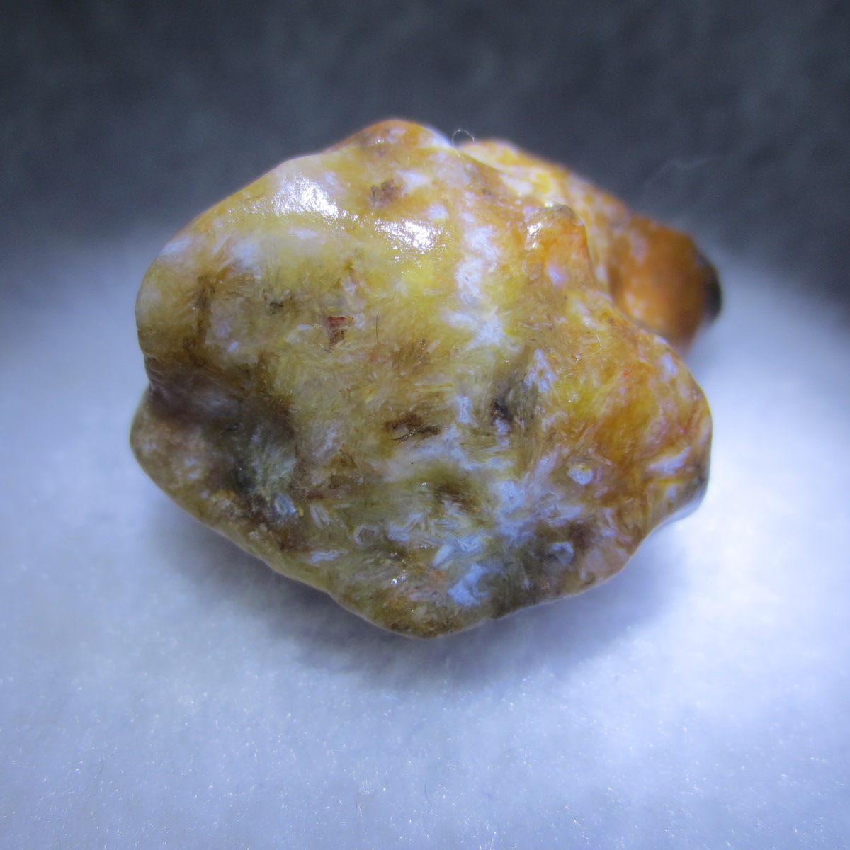 multi color gobi flower agate raw stone natural botryoidal desert agate specimen (k104)