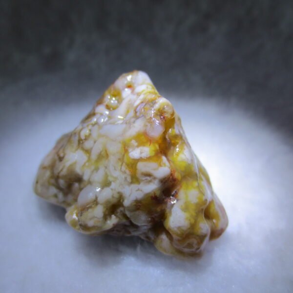 multi color gobi flower agate raw stone natural botryoidal desert agate specimen (k103)