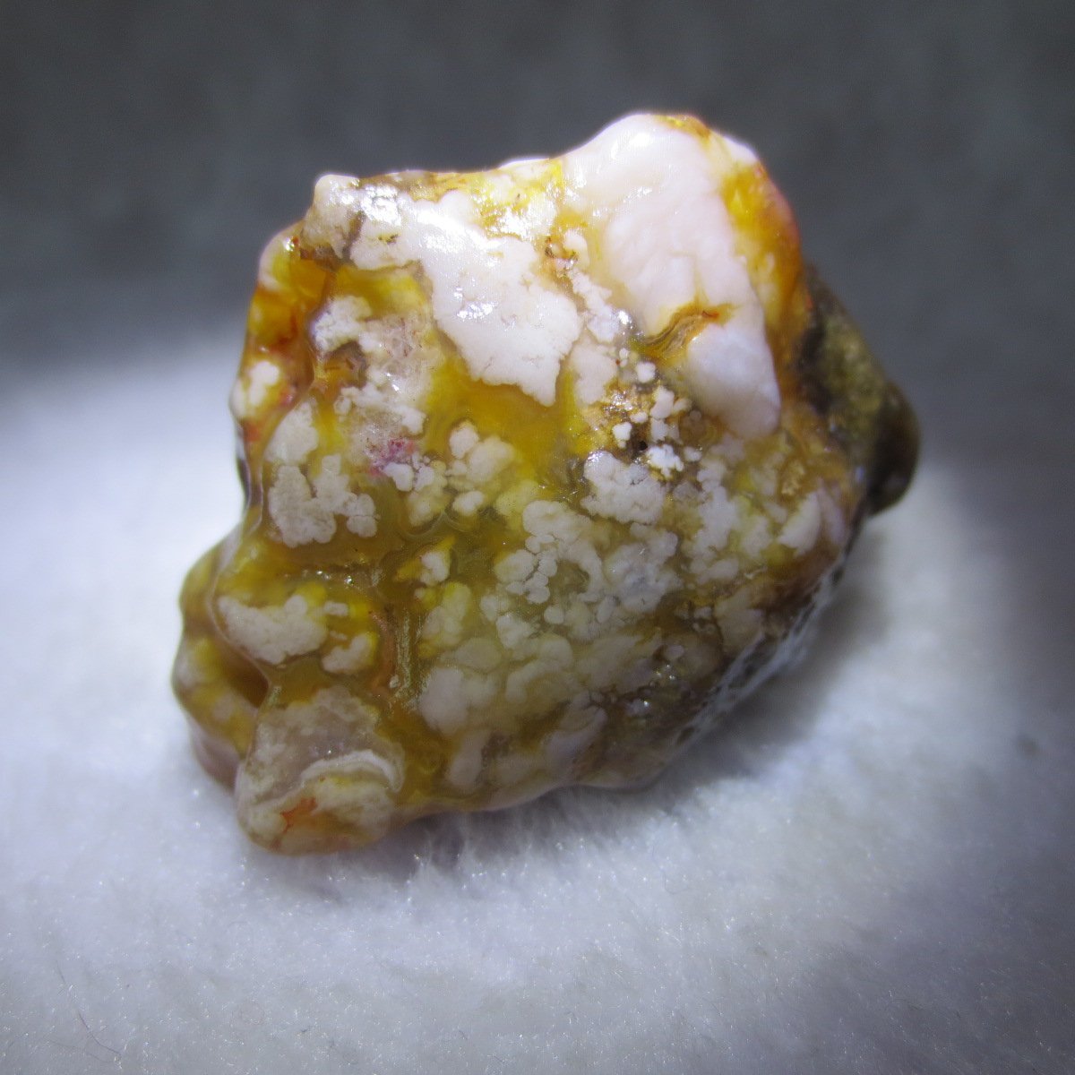 multi color gobi flower agate raw stone natural botryoidal desert agate specimen (k103)