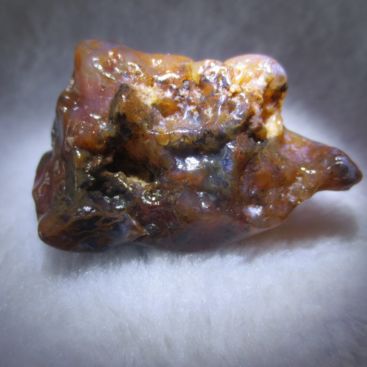 multi color gobi flower agate raw stone natural botryoidal desert agate specimen (k100)