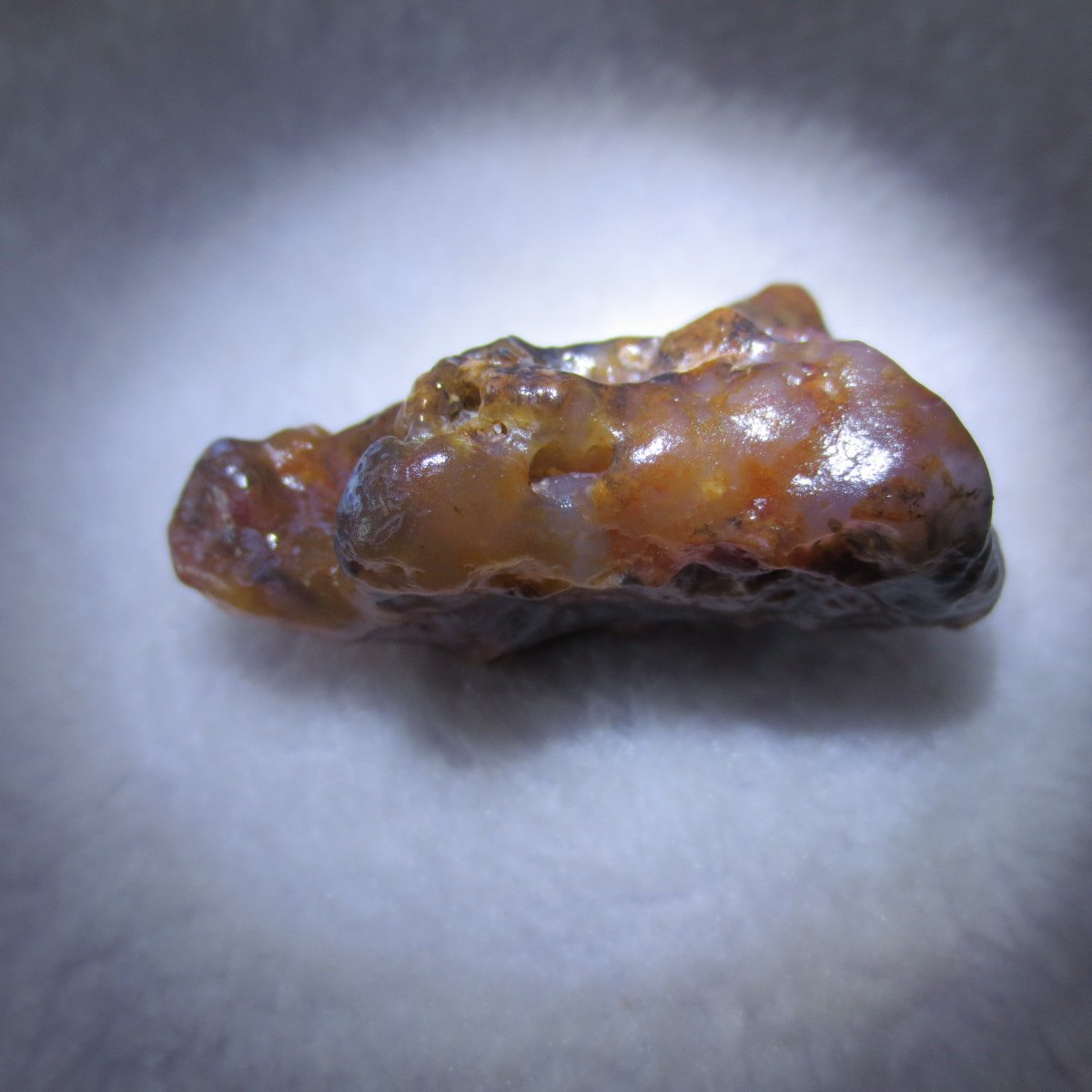 multi color gobi flower agate raw stone natural botryoidal desert agate specimen (k100)