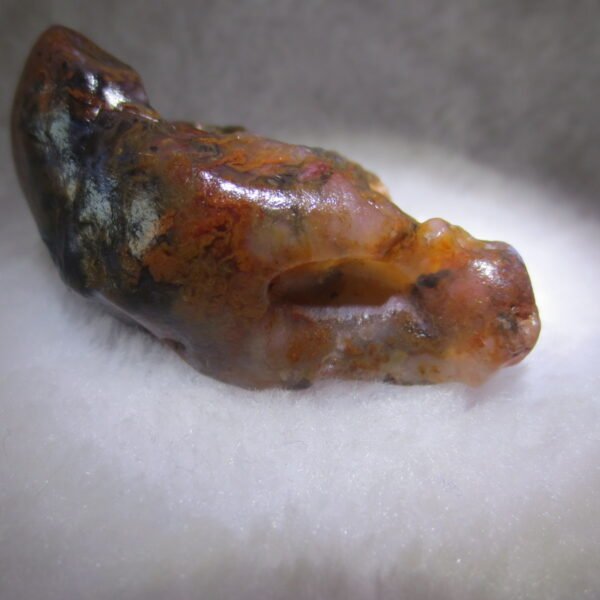 multi color gobi flower agate raw stone natural botryoidal desert agate specimen (k100)