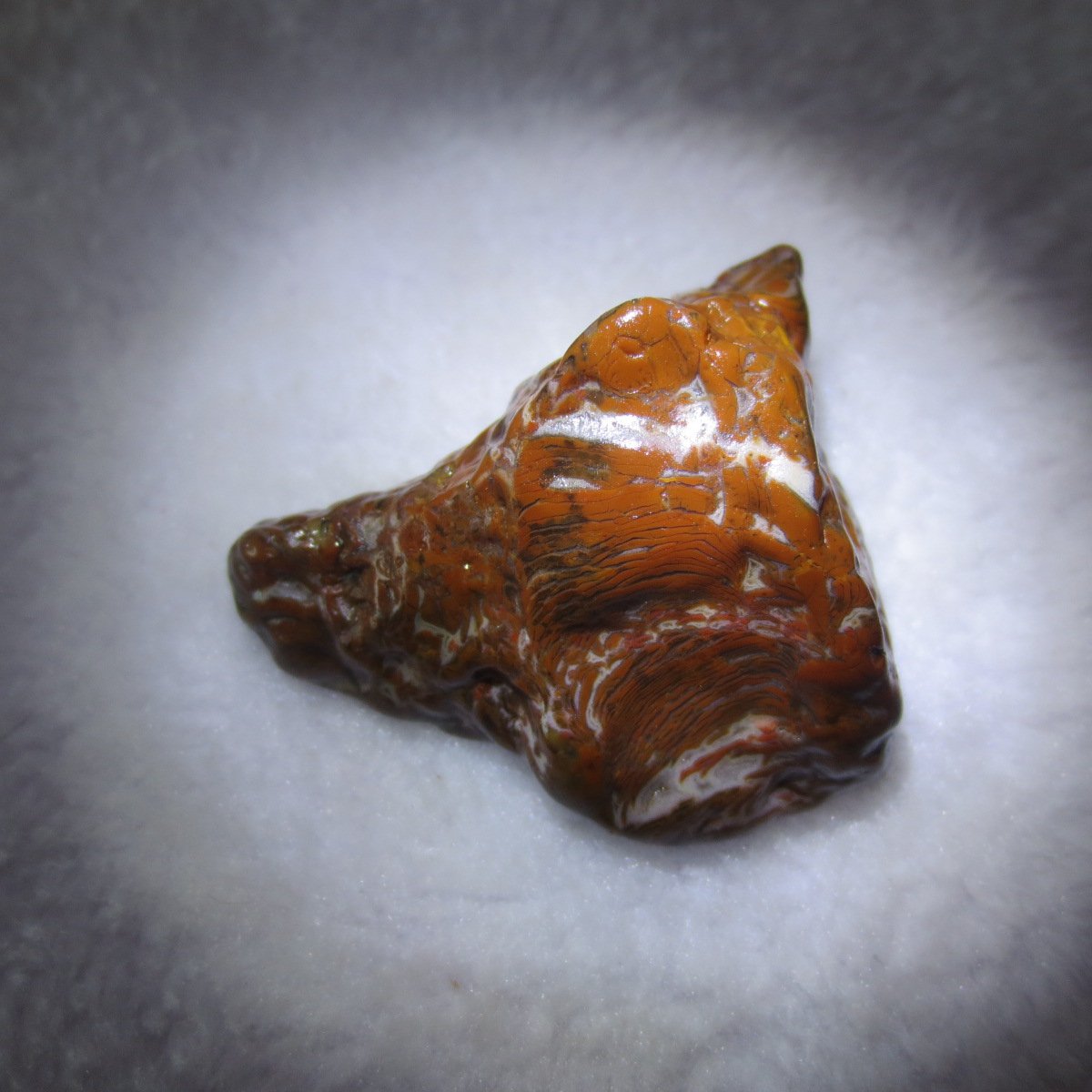 multi color gobi flower agate raw stone natural botryoidal desert agate specimen (k98)