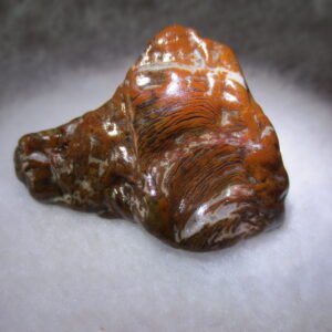 multi color gobi flower agate raw stone natural botryoidal desert agate specimen (k98)