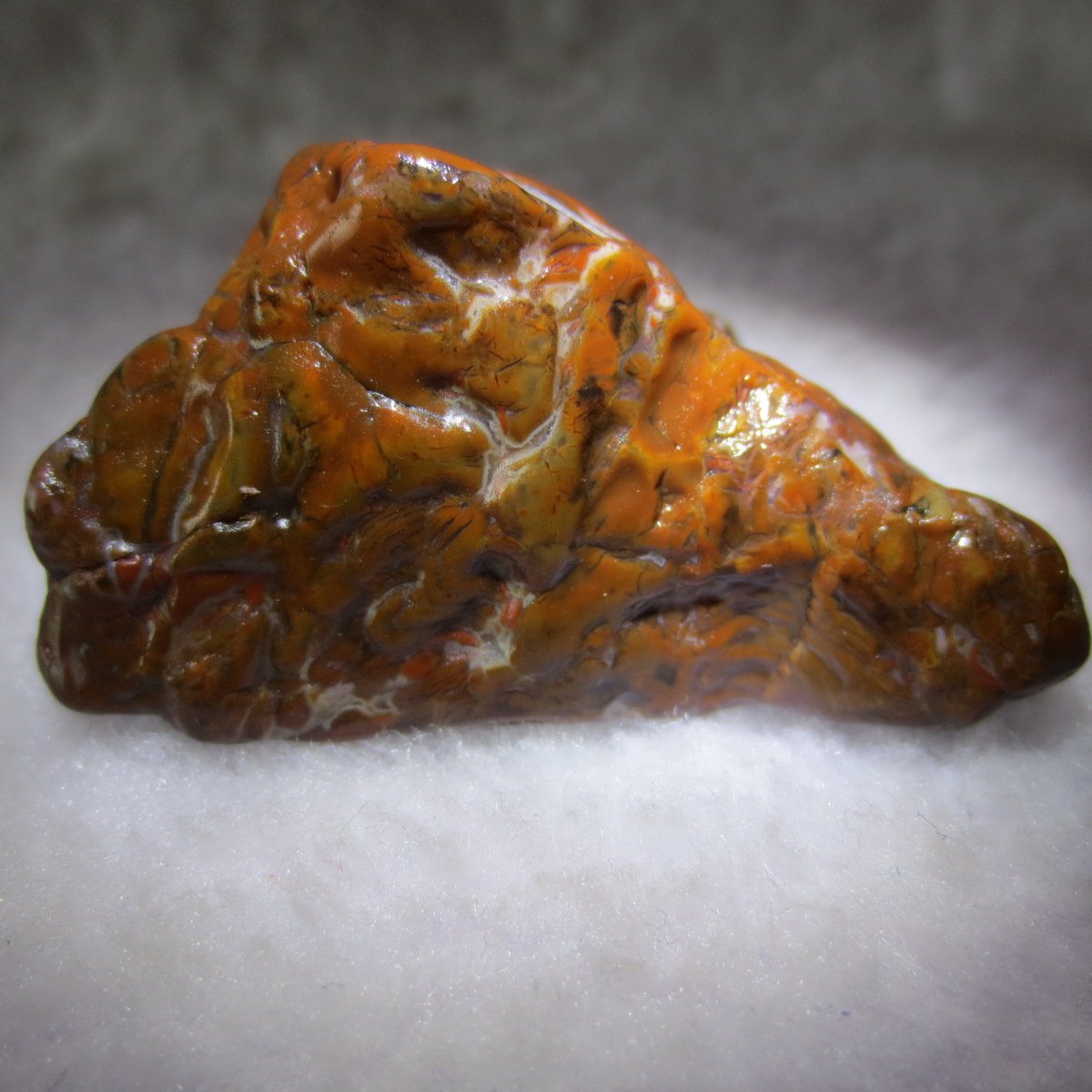 multi color gobi flower agate raw stone natural botryoidal desert agate specimen (k98)