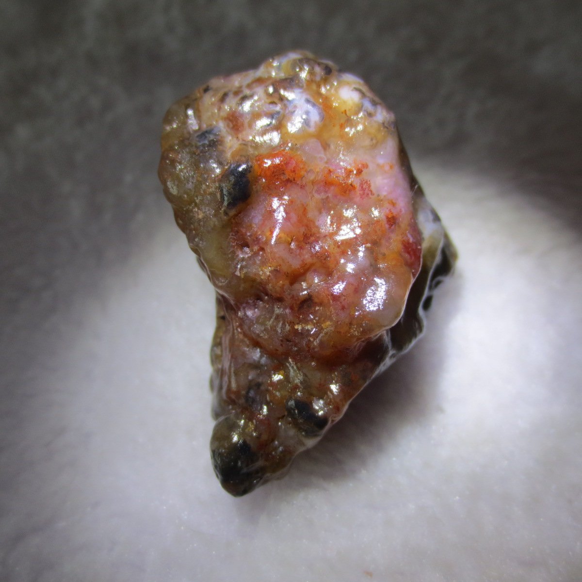 multi color gobi flower agate raw stone natural botryoidal desert agate specimen (k96)