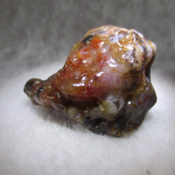 multi color gobi flower agate raw stone natural botryoidal desert agate specimen (k96)