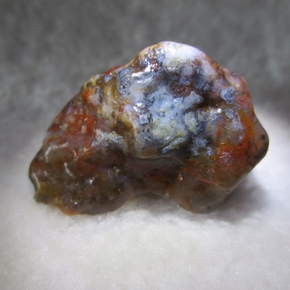 multi color gobi flower agate raw stone natural botryoidal desert agate specimen (k96)