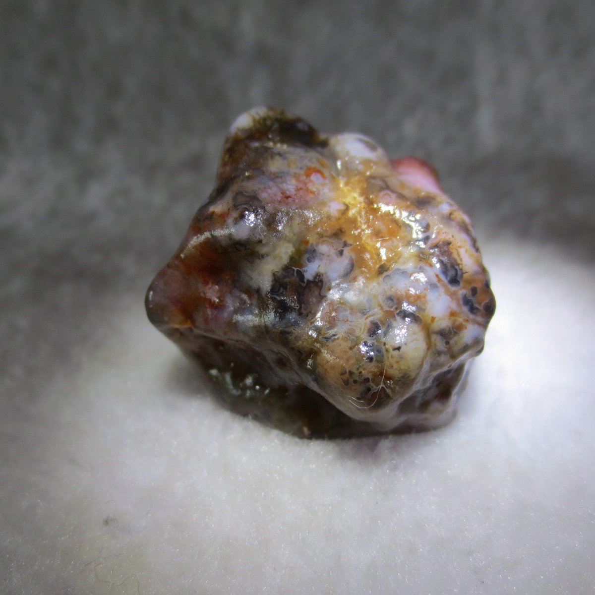 multi color gobi flower agate raw stone natural botryoidal desert agate specimen (k96)