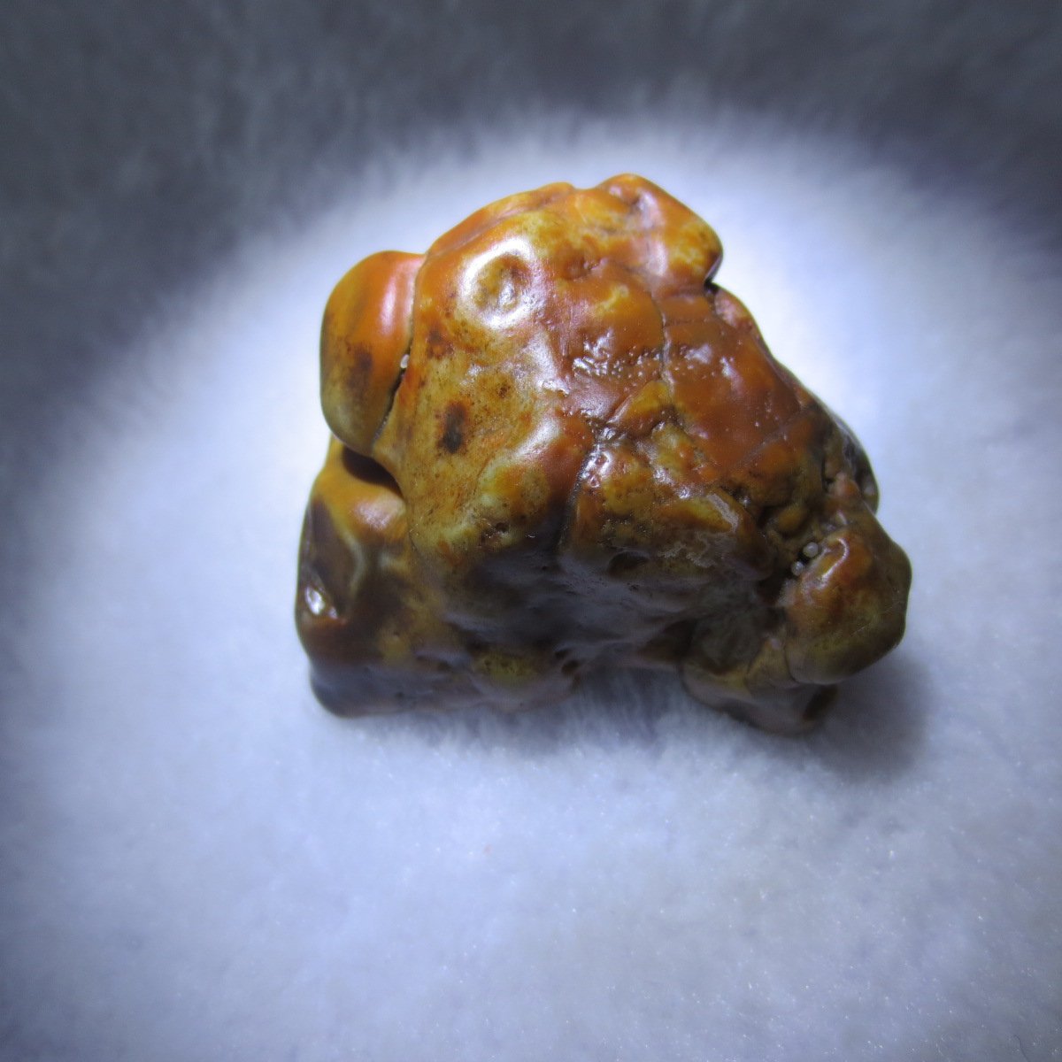 multi color gobi flower agate raw stone natural botryoidal desert agate specimen (k92)