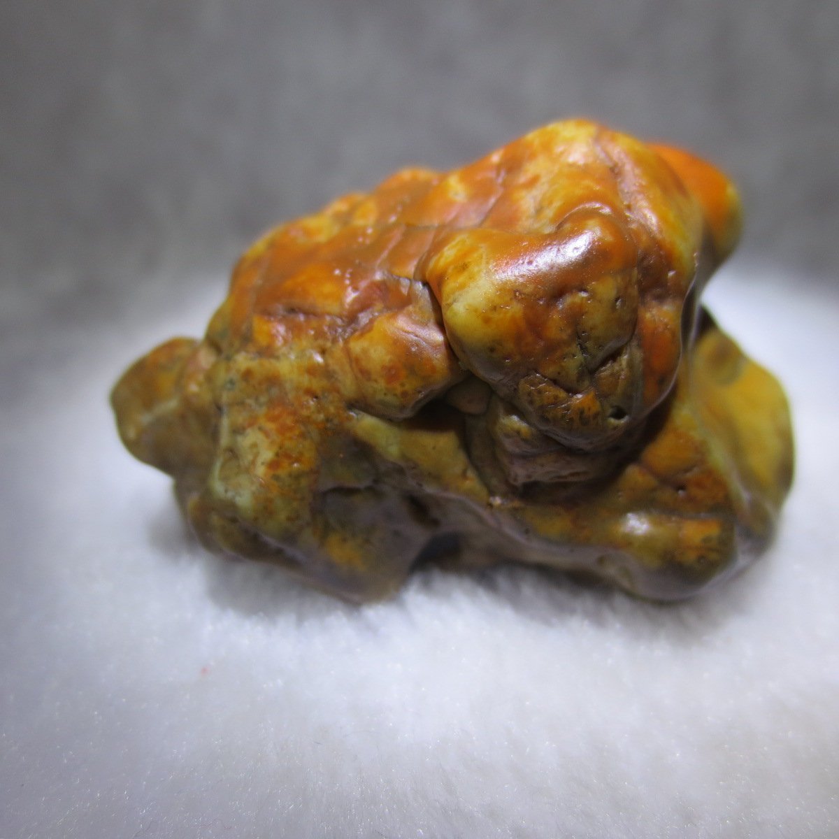 multi color gobi flower agate raw stone natural botryoidal desert agate specimen (k92)