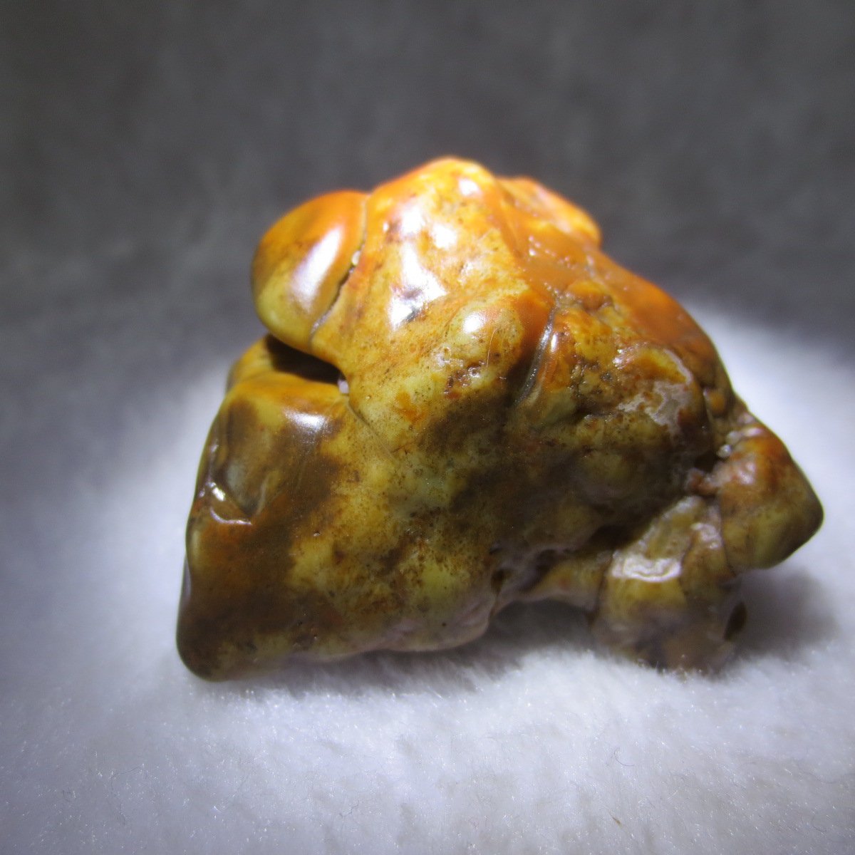 multi color gobi flower agate raw stone natural botryoidal desert agate specimen (k92)