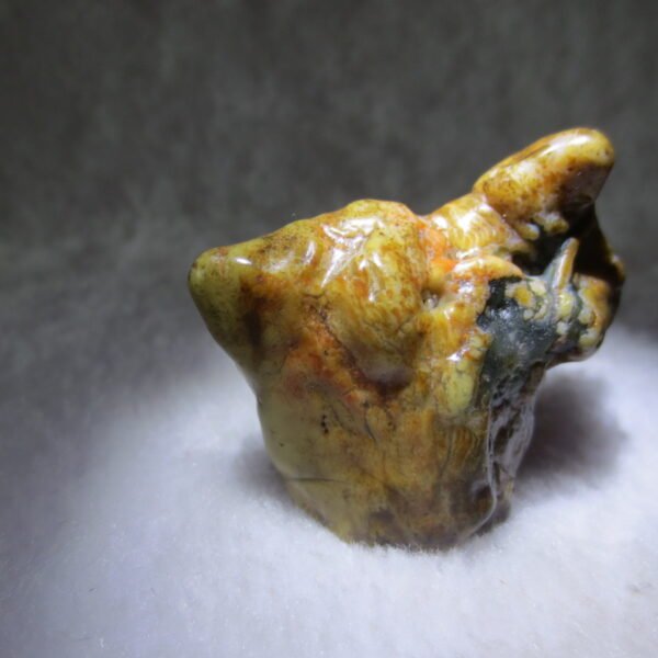 multi color gobi flower agate raw stone natural botryoidal desert agate specimen (k92)