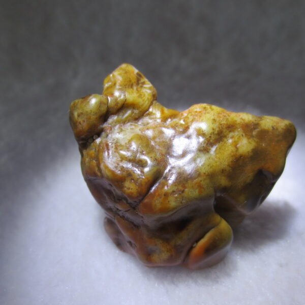 multi color gobi flower agate raw stone natural botryoidal desert agate specimen (k92)