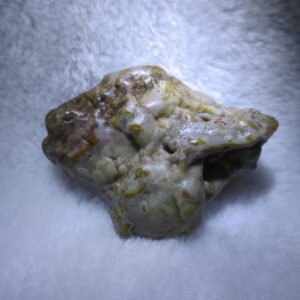 multi color gobi flower agate raw stone natural botryoidal desert agate specimen (k91)
