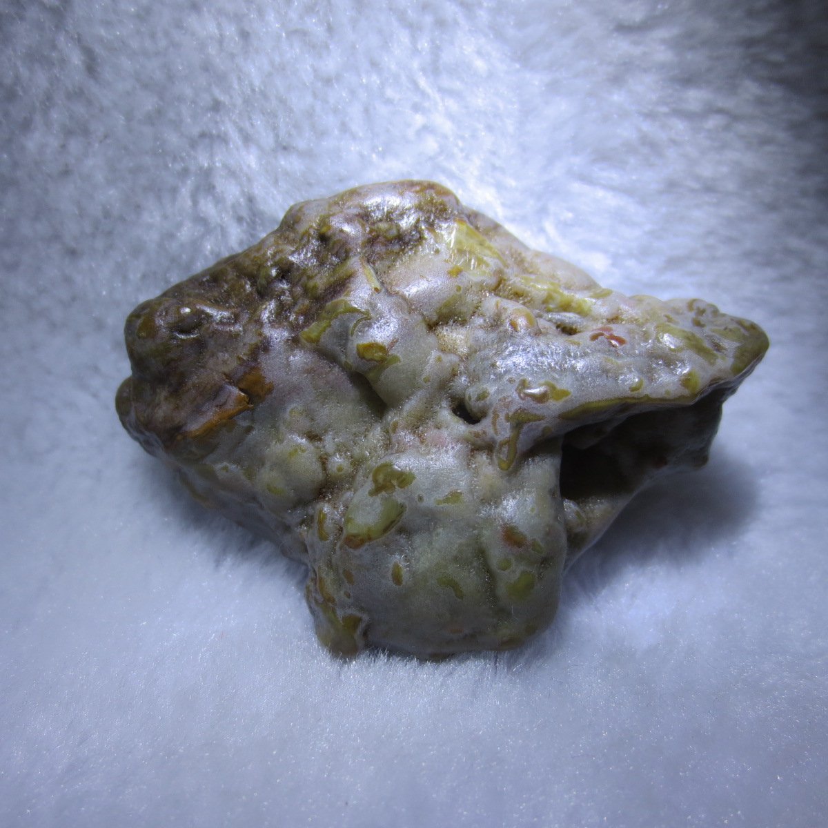 multi color gobi flower agate raw stone natural botryoidal desert agate specimen (k91)