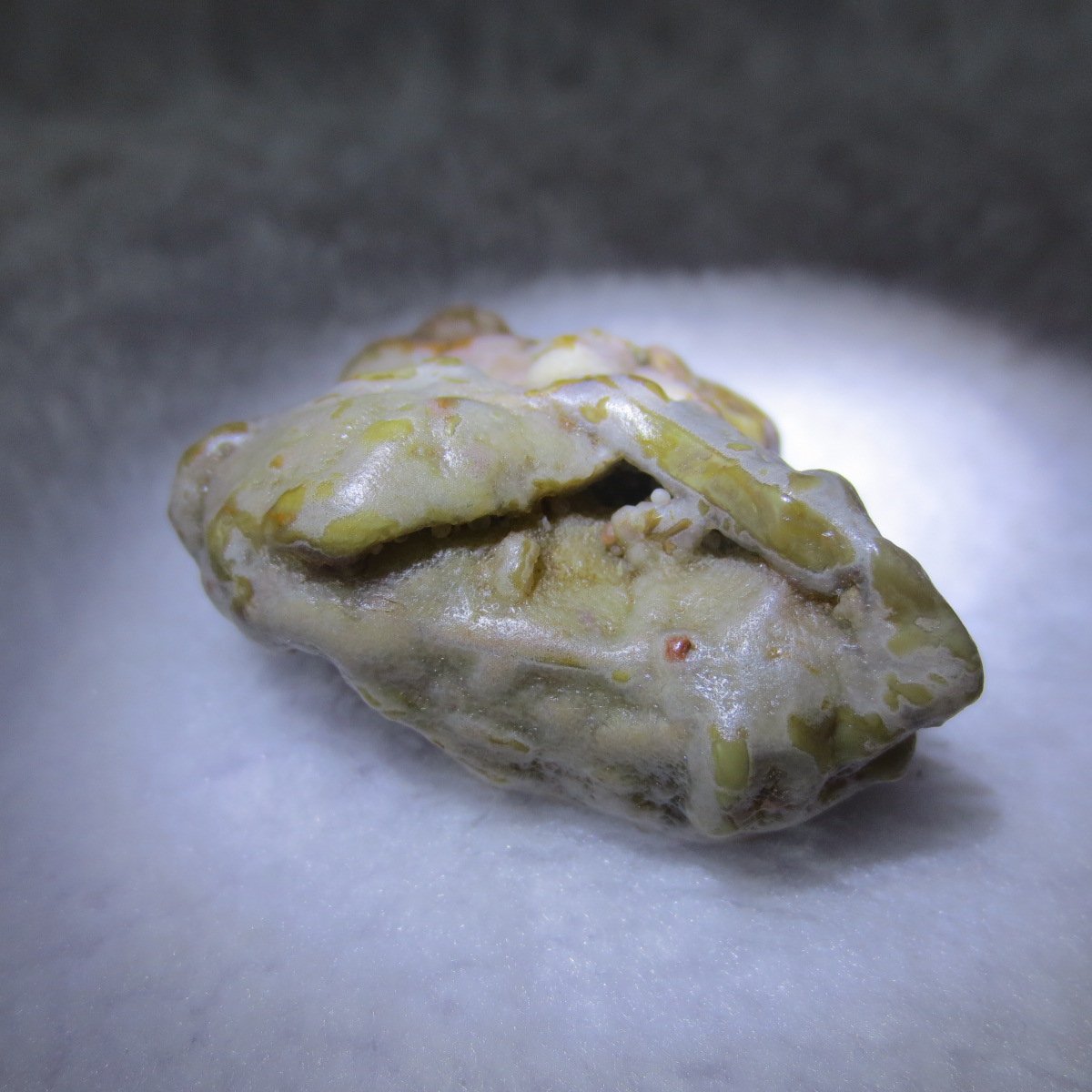multi color gobi flower agate raw stone natural botryoidal desert agate specimen (k91)