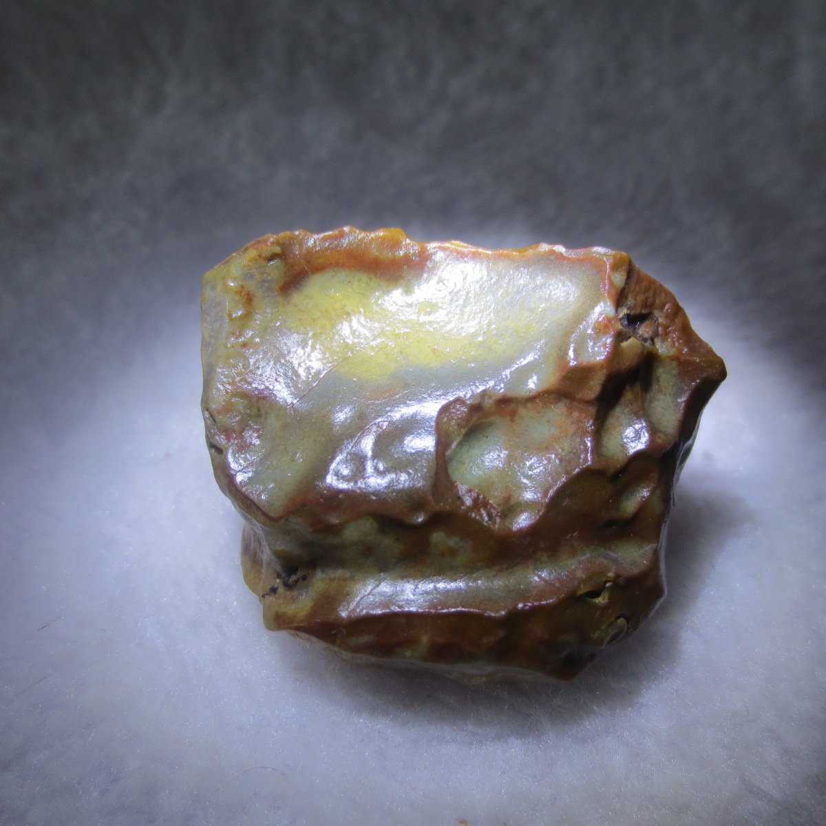 multi color gobi flower agate raw stone natural botryoidal desert agate specimen (k90)