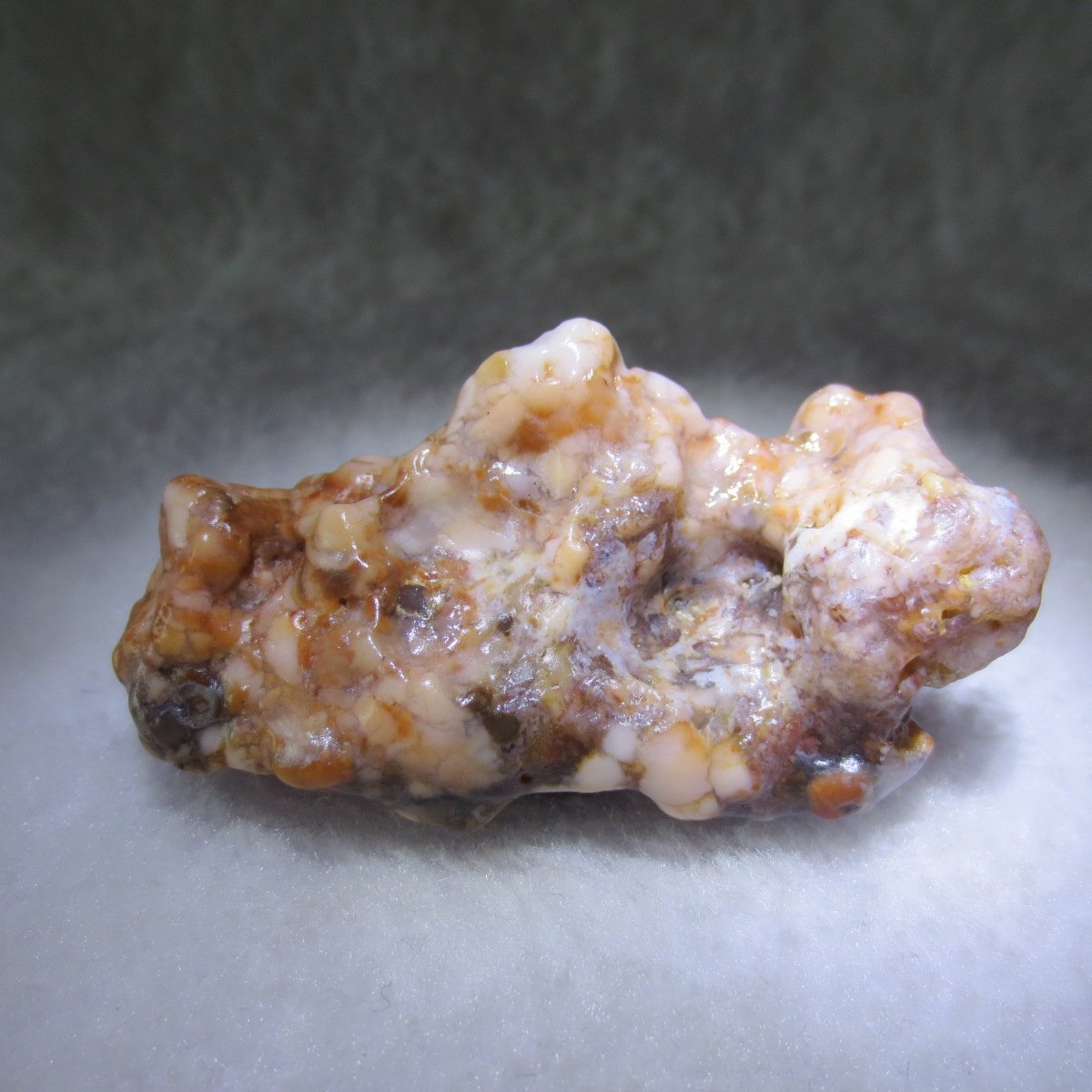 multi color gobi flower agate raw stone natural botryoidal desert agate specimen (k88)