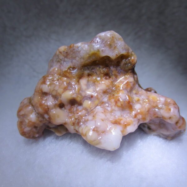 multi color gobi flower agate raw stone natural botryoidal desert agate specimen (k88)