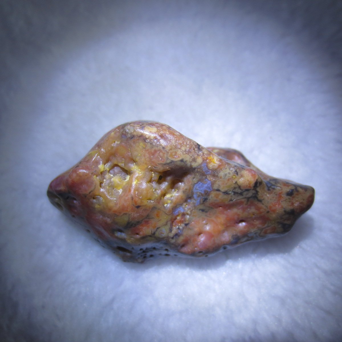 multi color gobi flower agate raw stone natural botryoidal desert agate specimen (k87)