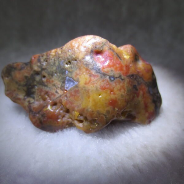 multi color gobi flower agate raw stone natural botryoidal desert agate specimen (k87)