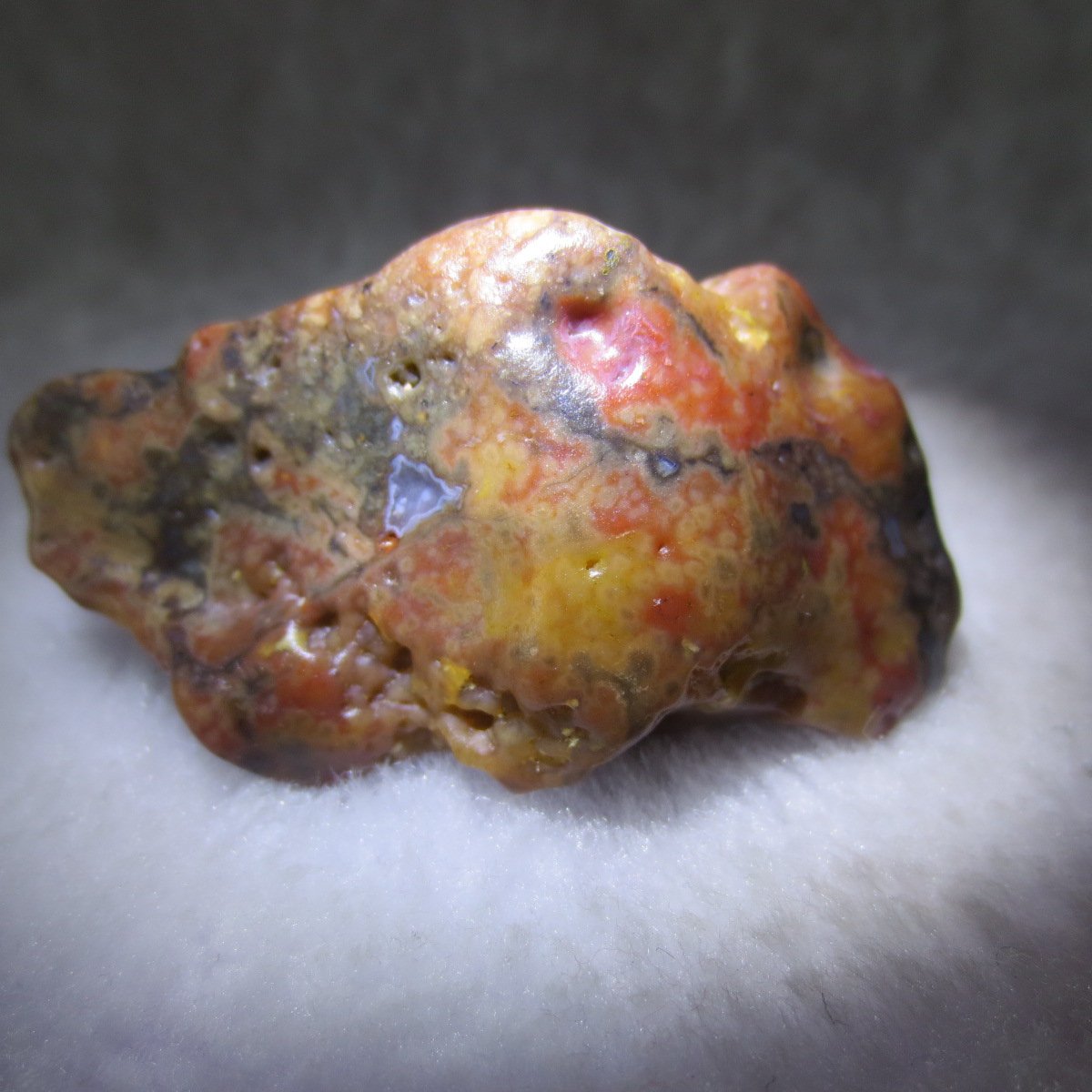 multi color gobi flower agate raw stone natural botryoidal desert agate specimen (k87)