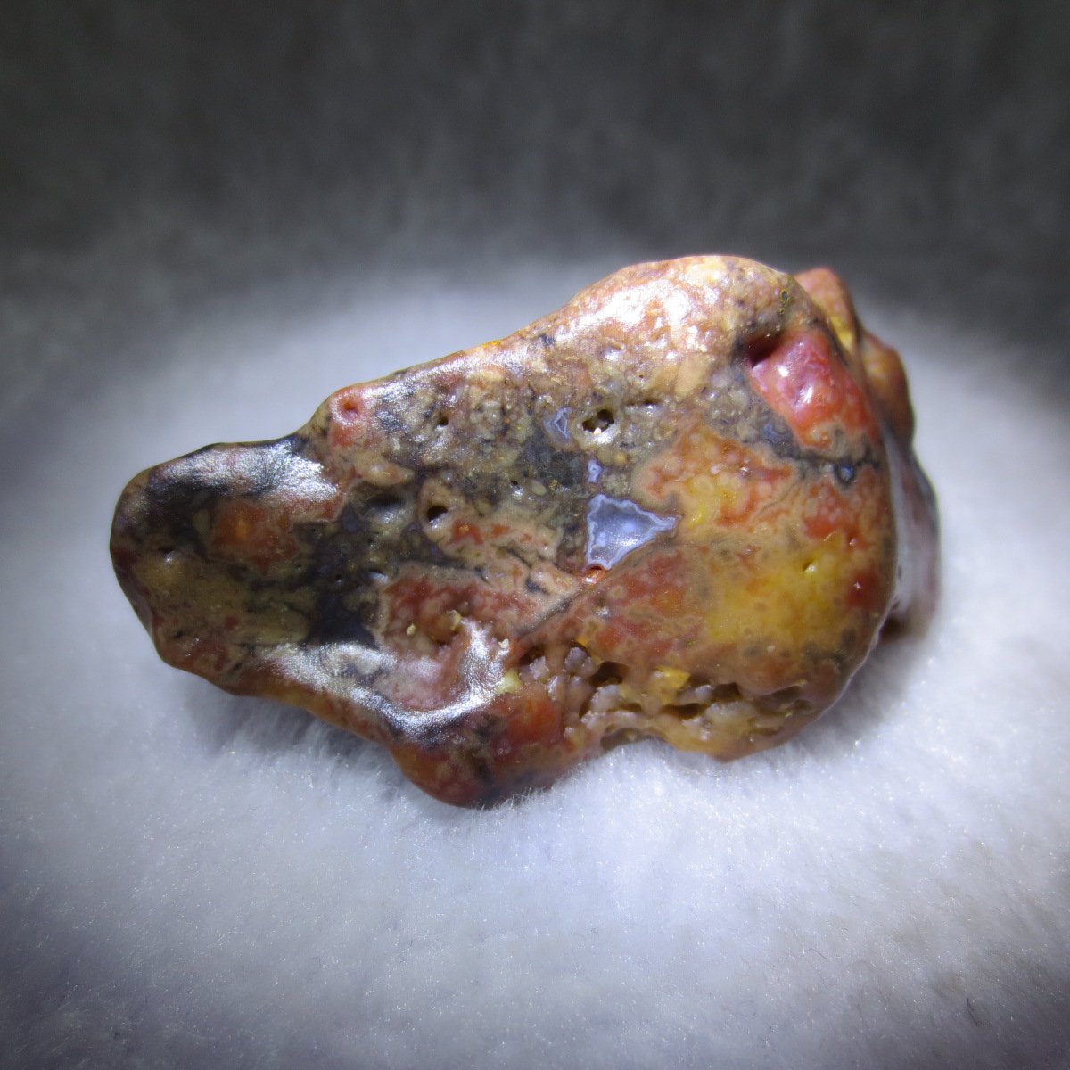multi color gobi flower agate raw stone natural botryoidal desert agate specimen (k87)