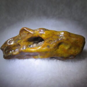 multi color gobi flower agate raw stone natural botryoidal desert agate specimen (k84)