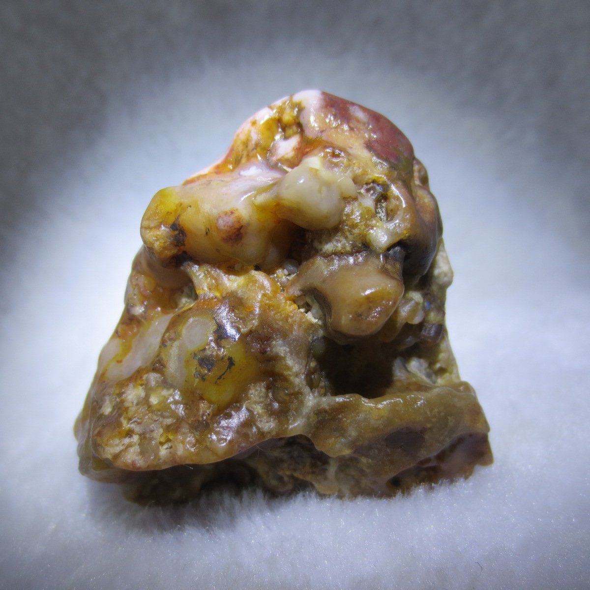 multi color gobi flower agate raw stone natural botryoidal desert agate specimen (k83)