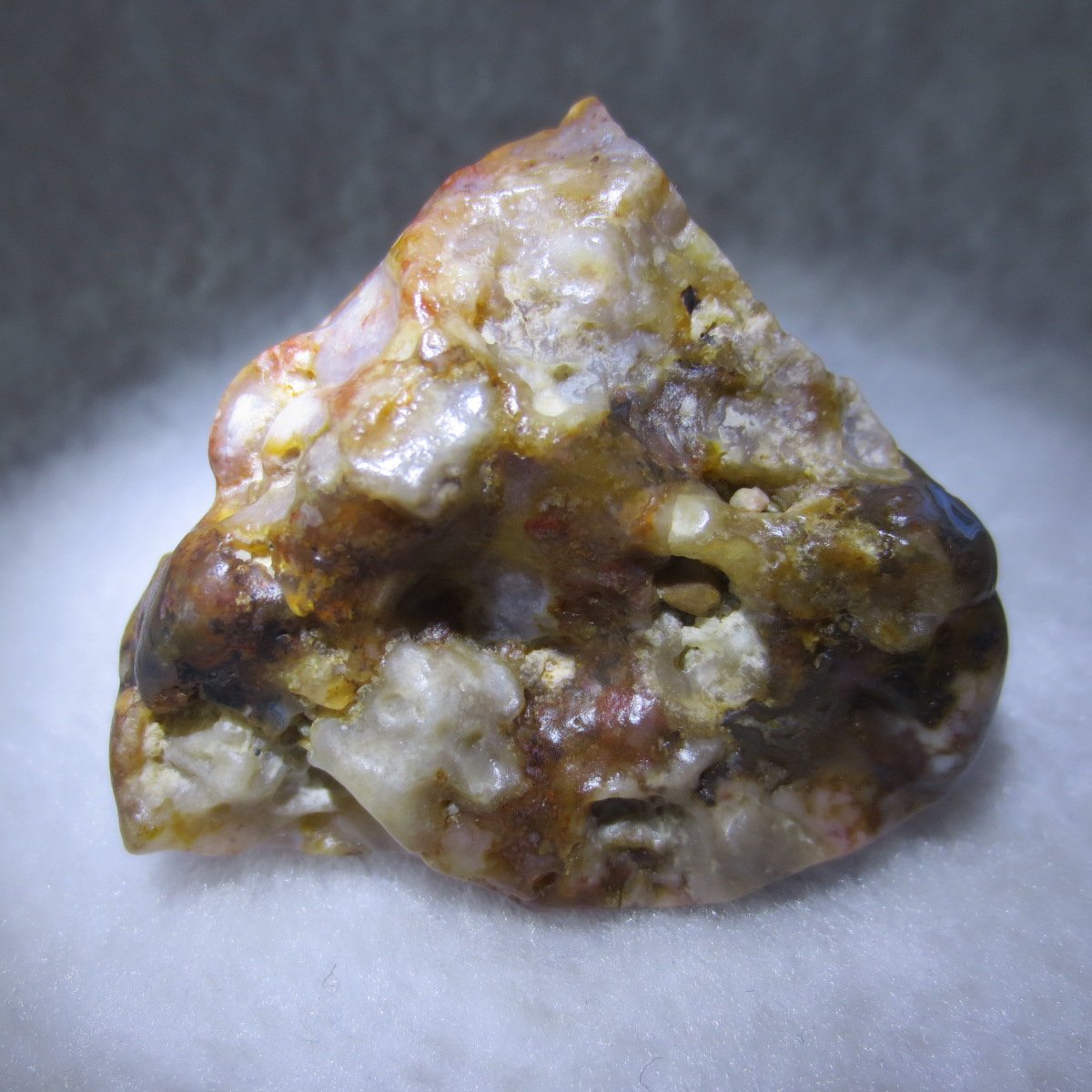 multi color gobi flower agate raw stone natural botryoidal desert agate specimen (k83)