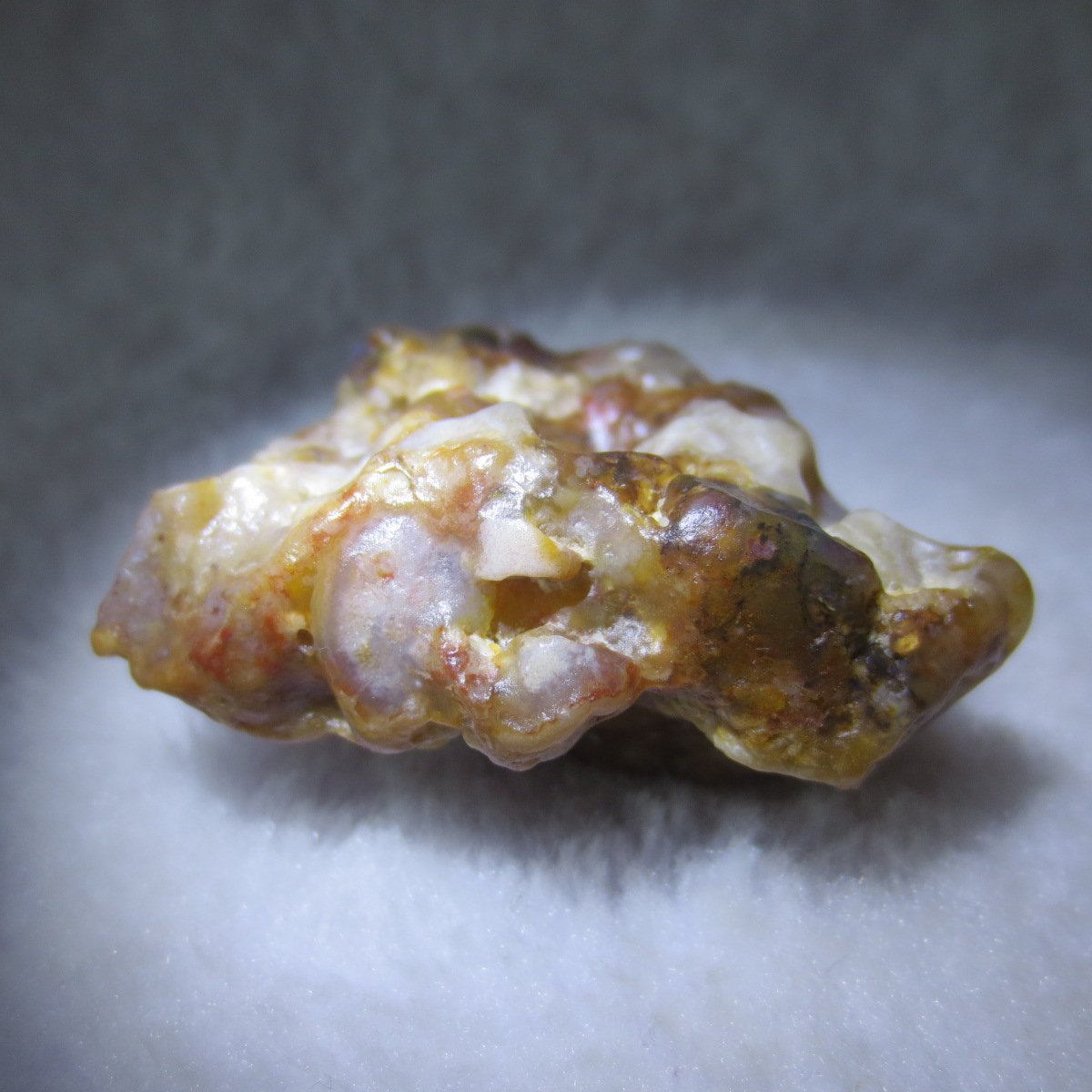 multi color gobi flower agate raw stone natural botryoidal desert agate specimen (k83)