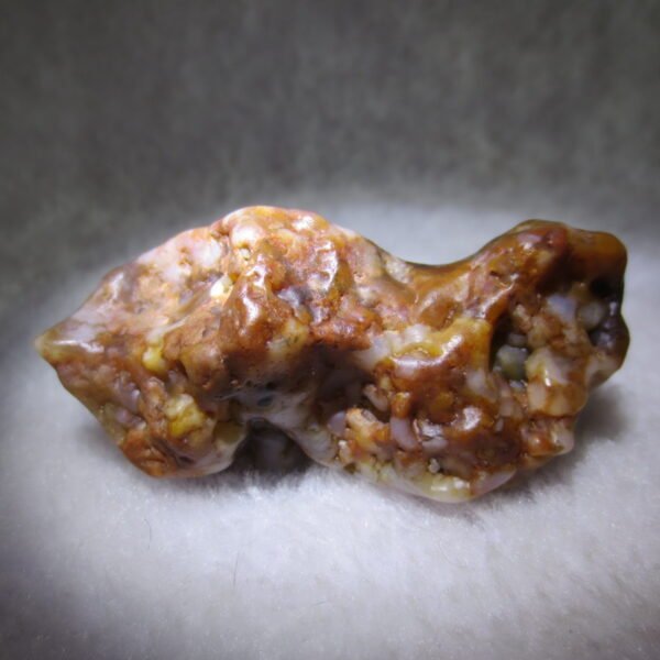 multi color gobi flower agate raw stone natural botryoidal desert agate specimen (k82)
