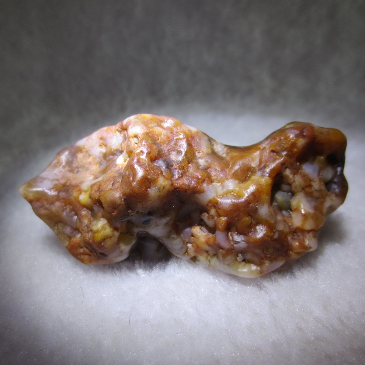 multi color gobi flower agate raw stone natural botryoidal desert agate specimen (k82)