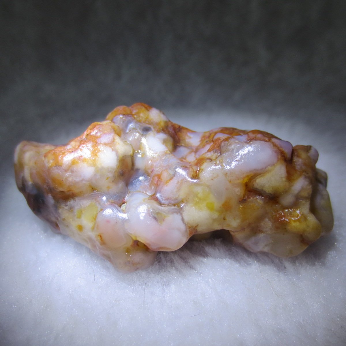 multi color gobi flower agate raw stone natural botryoidal desert agate specimen (k82)