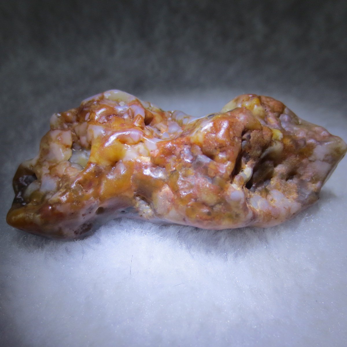 multi color gobi flower agate raw stone natural botryoidal desert agate specimen (k82)