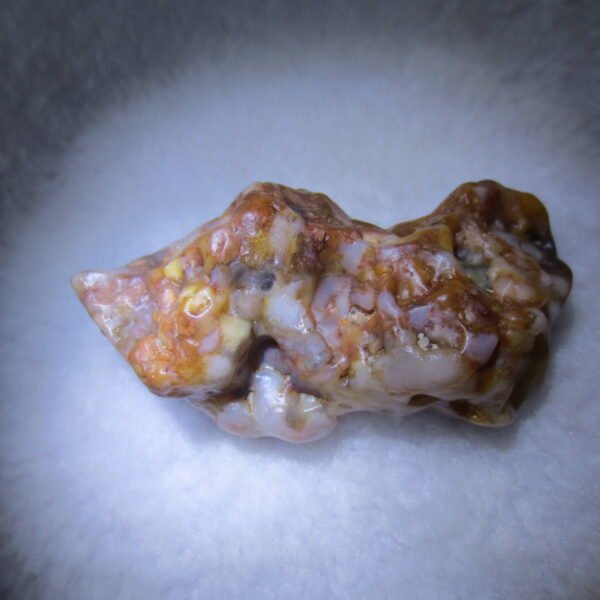 multi color gobi flower agate raw stone natural botryoidal desert agate specimen (k82)