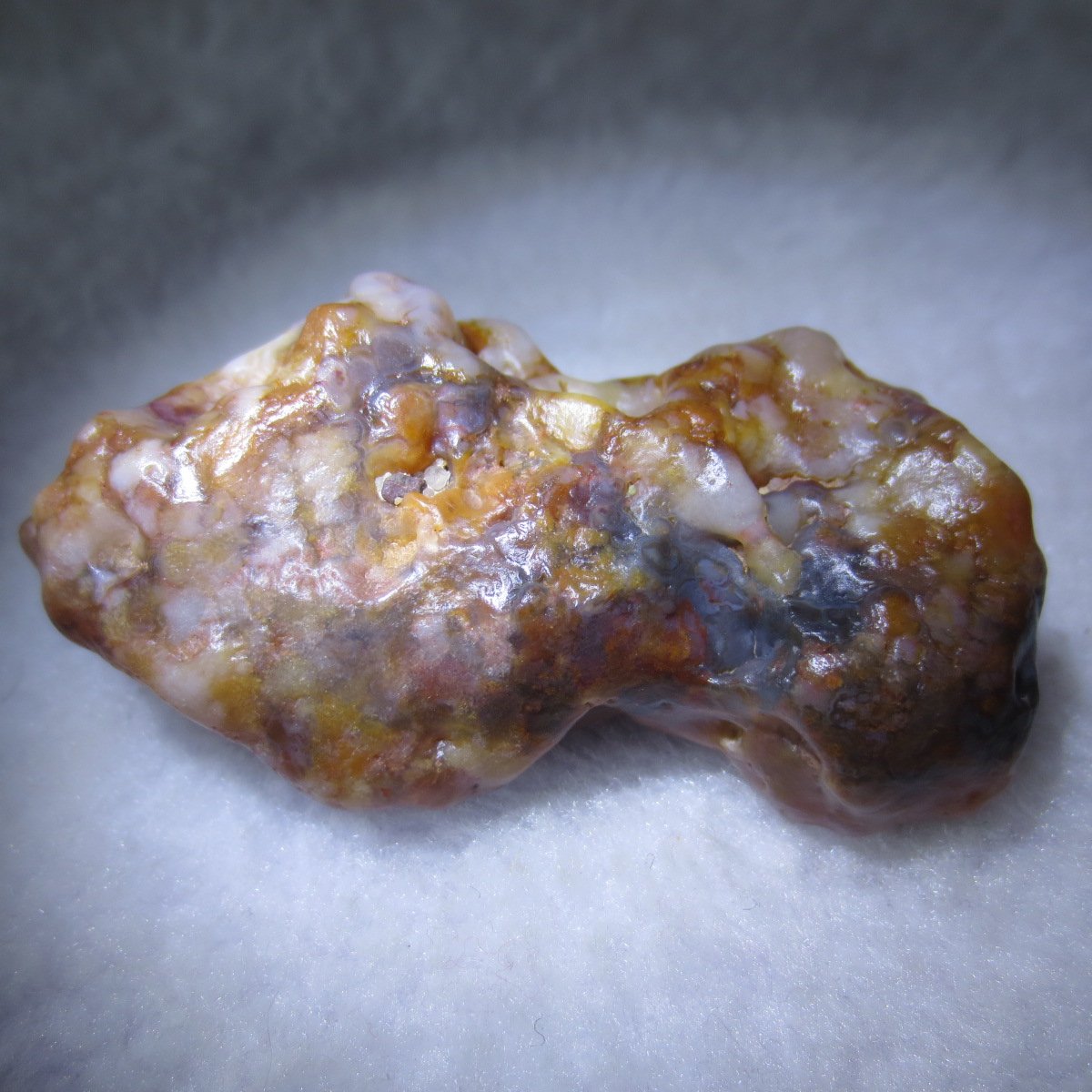 multi color gobi flower agate raw stone natural botryoidal desert agate specimen (k82)
