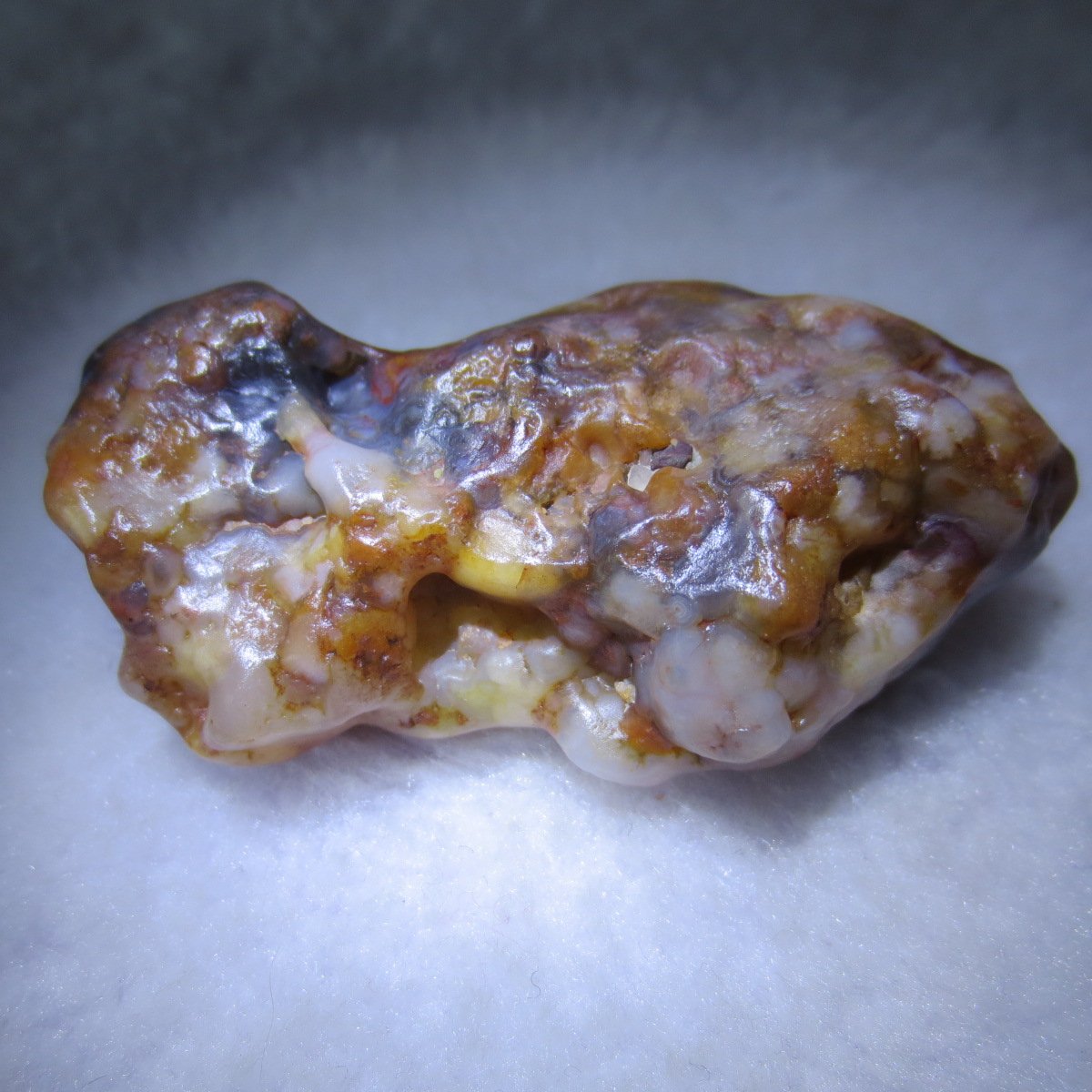 multi color gobi flower agate raw stone natural botryoidal desert agate specimen (k82)