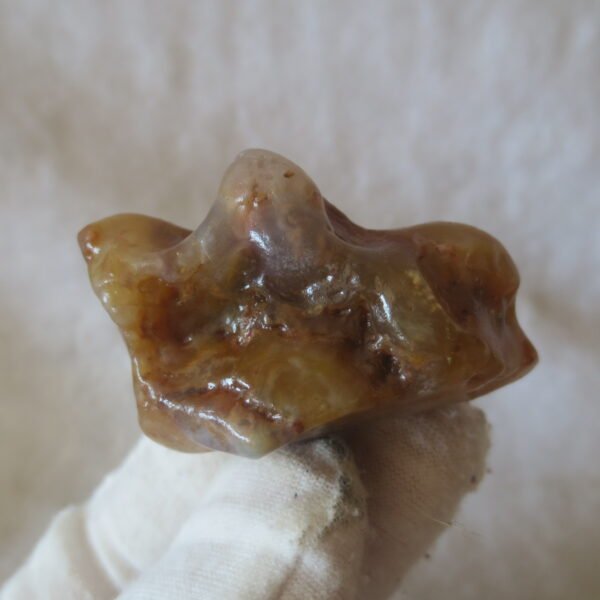 multi color gobi flower agate raw stone natural botryoidal desert agate specimen (k130)