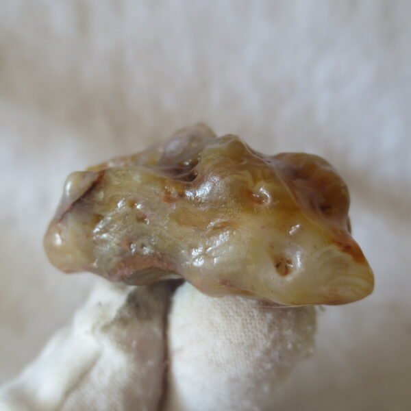 multi color gobi flower agate raw stone natural botryoidal desert agate specimen (k130)