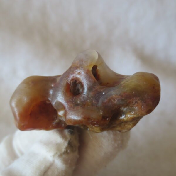 multi color gobi flower agate raw stone natural botryoidal desert agate specimen (k130)
