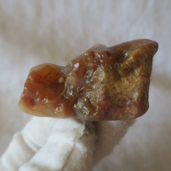 multi color gobi flower agate raw stone natural botryoidal desert agate specimen (k130)