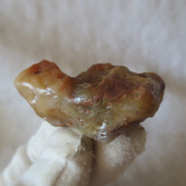 multi color gobi flower agate raw stone natural botryoidal desert agate specimen (k130)