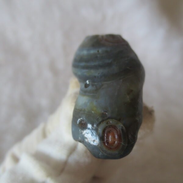 natural thumb eye gobi agate desert raw stone mineral (f165)