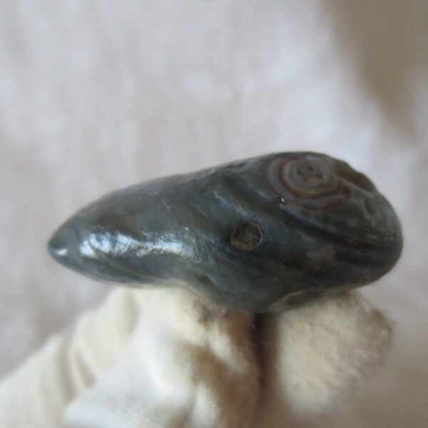 natural thumb eye gobi agate desert raw stone mineral (f165)