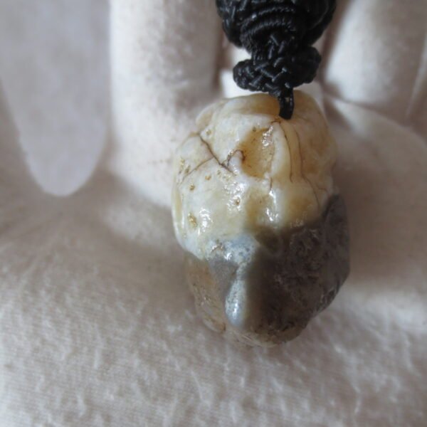 natural gobi agate pendant healing crystal jewelry (d183)